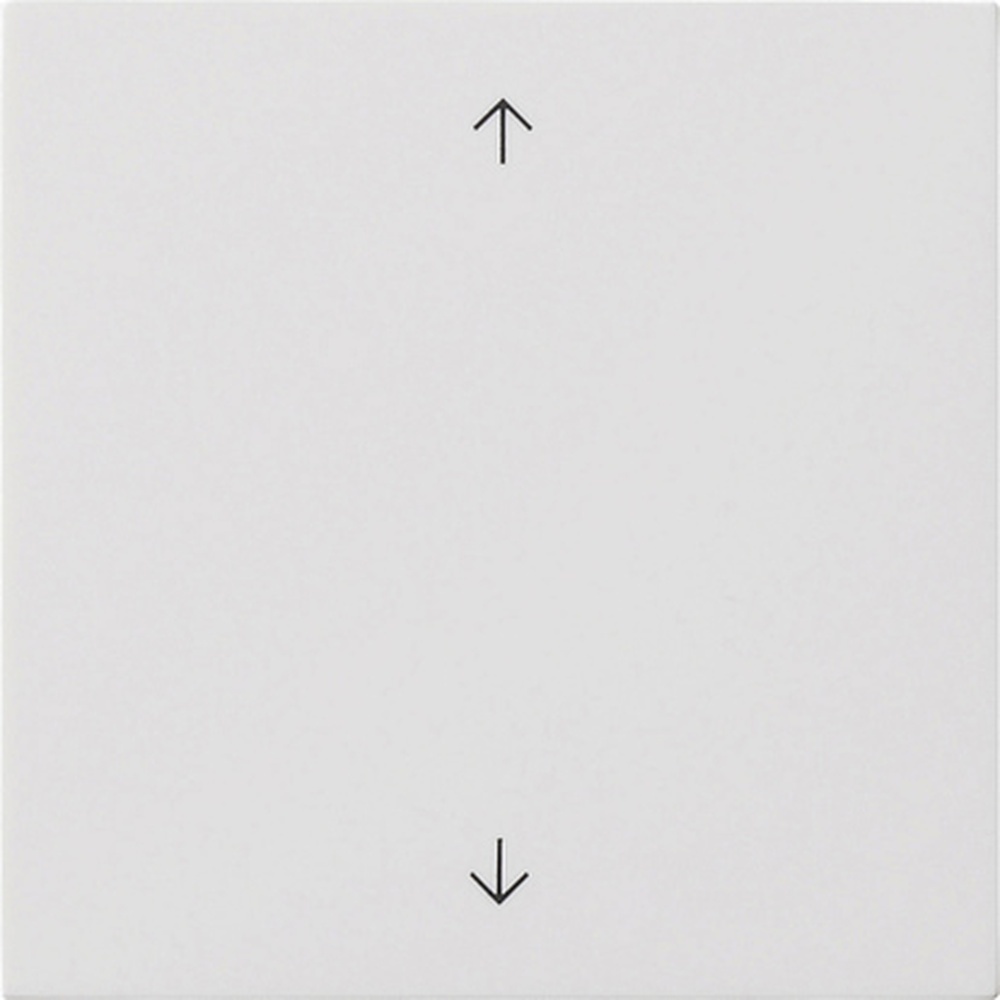 Gira Wippe 1fach 5389112