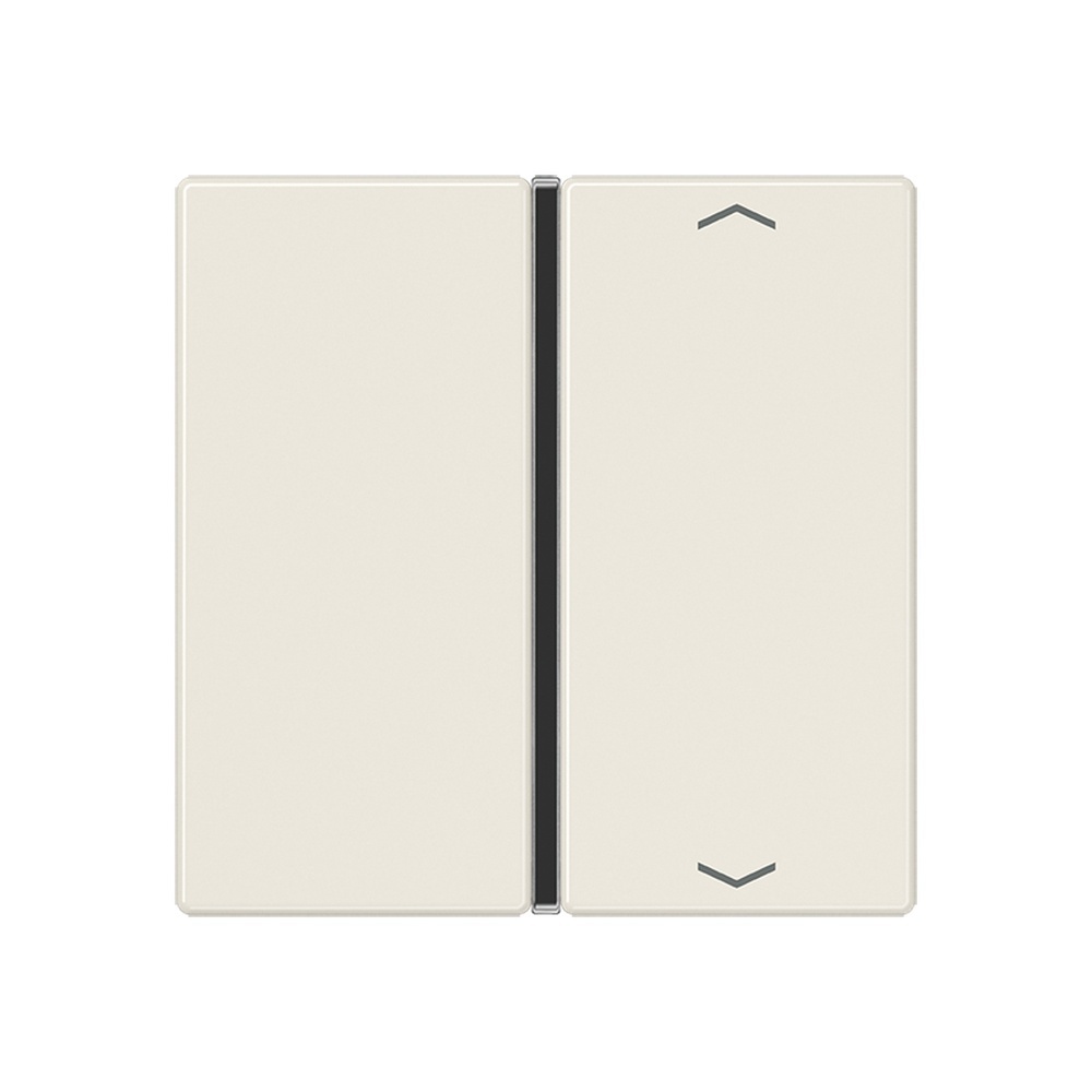 Jung Taste 1fach A 401 TSAP