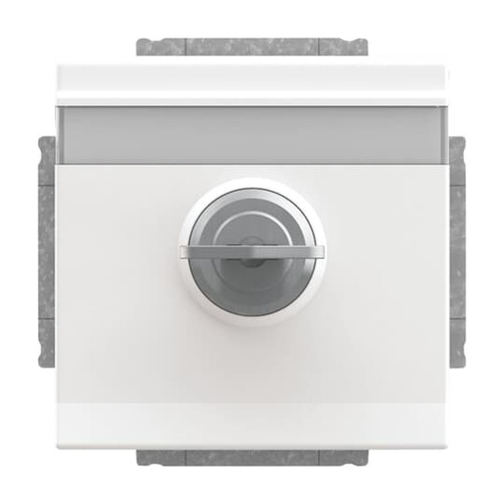 Busch-Jaeger SCHUKO Steckdosen Einsatz 20 EUKNBSL-84-101 Nr. 2CKA002018A1564