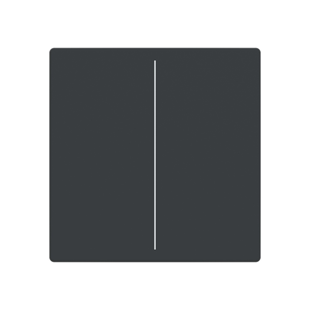 Busch-Jaeger Abdeckung LFW/A.2.63.11-81 Typ 2CKA006199A0050