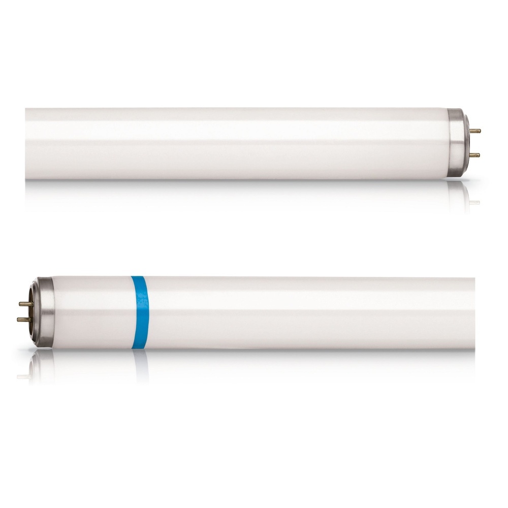 Signify Philips UV Lampe 86085600 Typ Actinic BL TL-DK Secura 36W/10 1SL/25