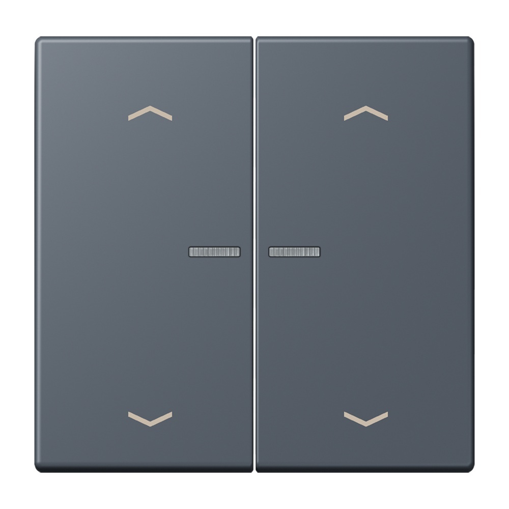 Jung Wippe mit Lichtleiter LC102KO5P262