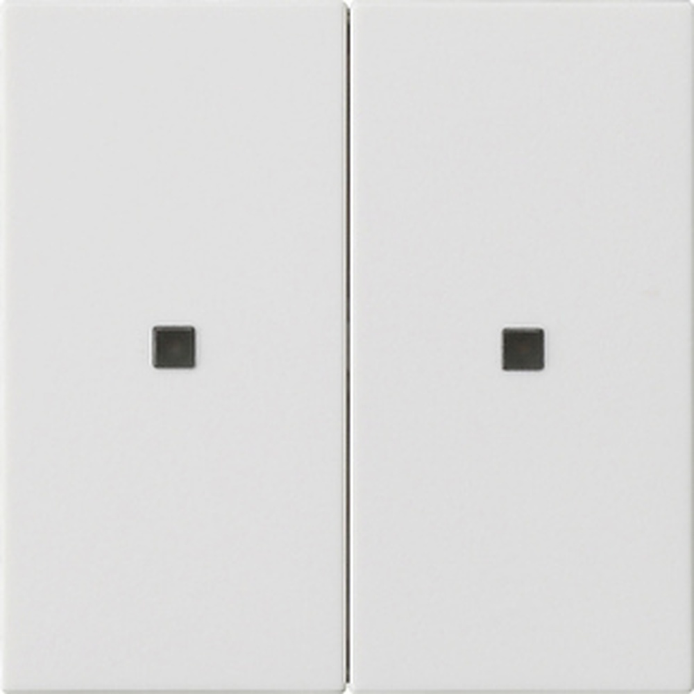 Gira Wippe 2fach 536927