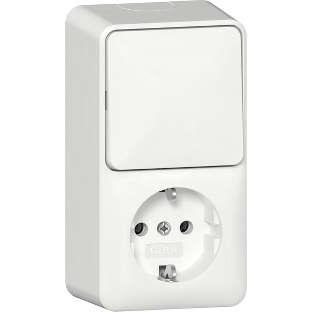 Gira Wechselschalter 417613