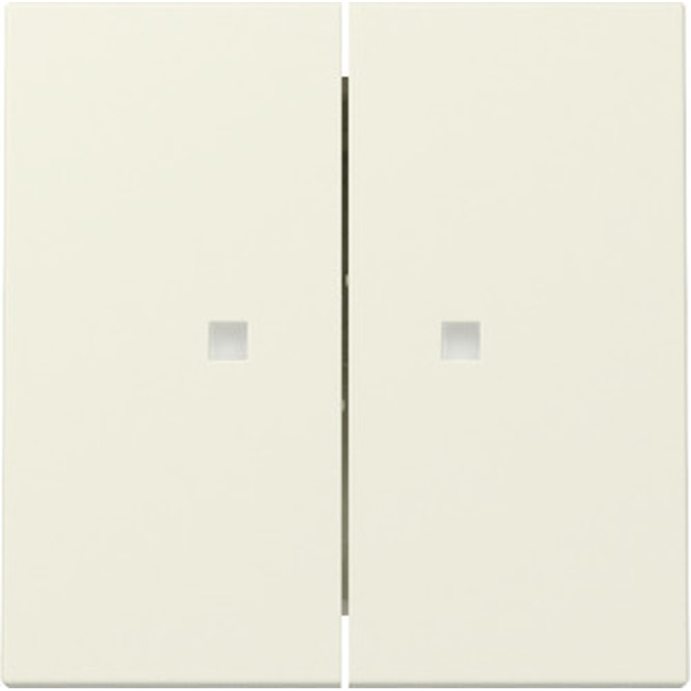 Gira Wippe 2fach 363101