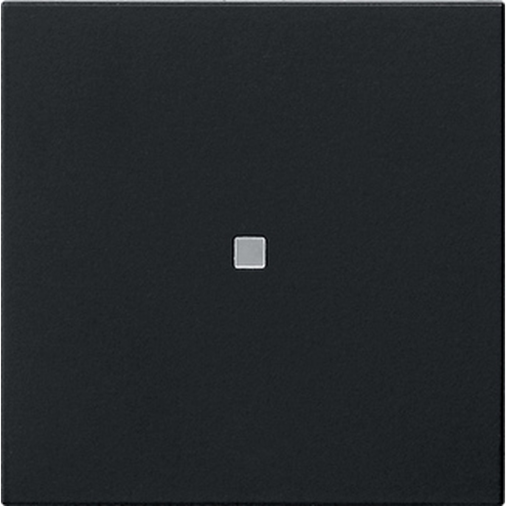 Gira eNet Funk Bedienaufsatz 5495005