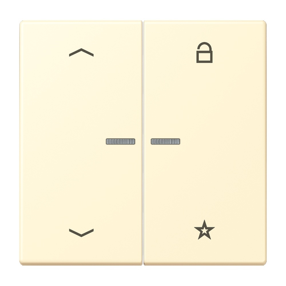 Jung Taster FMLC1701P201