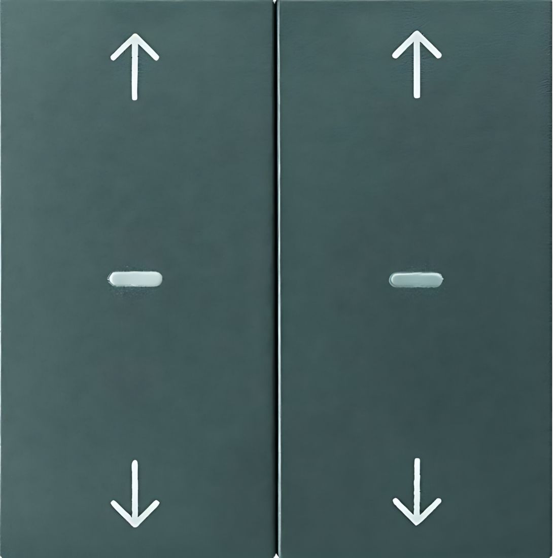 Berker Tastsensor Abdeckung 80961385