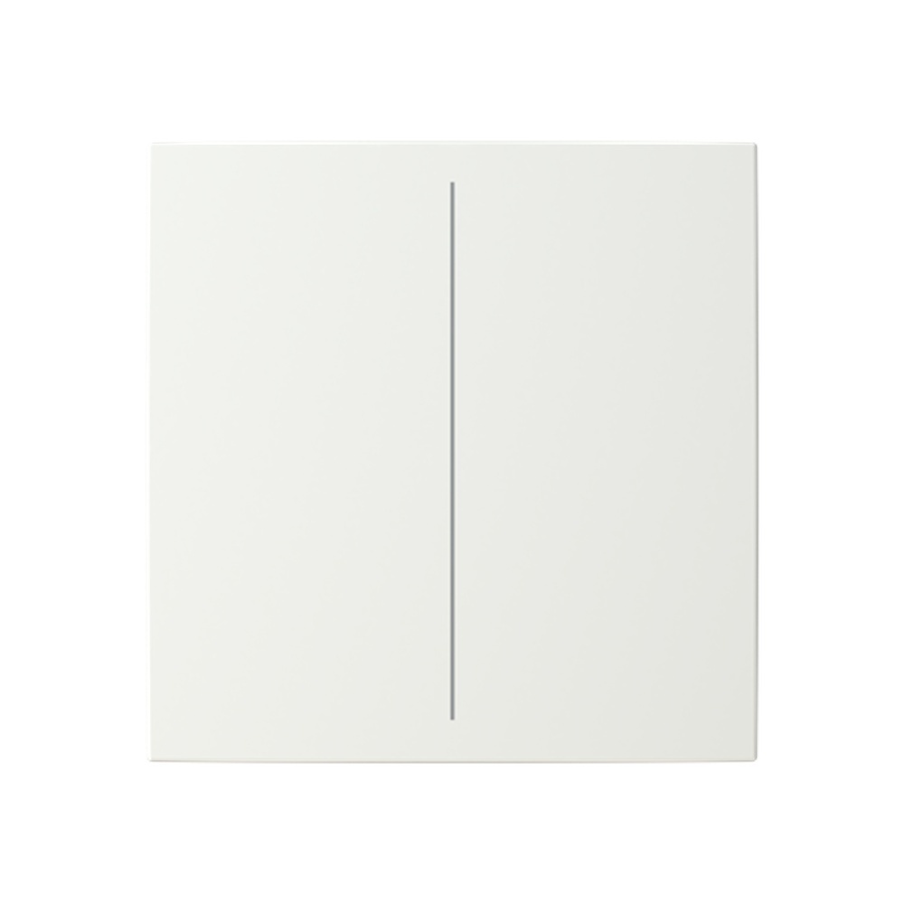 Busch-Jaeger Abdeckung LFW/A.2.55.11-914 Typ 2CKA006199A0164