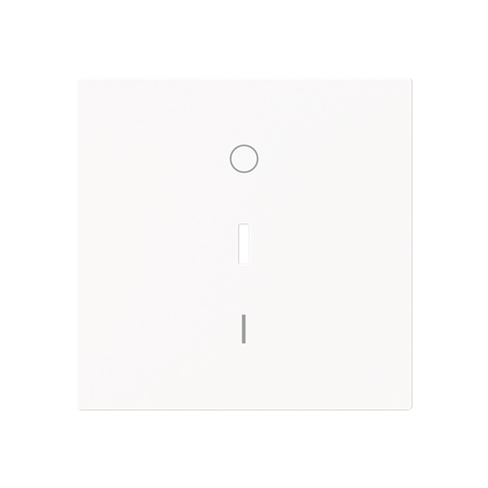 Busch-Jaeger Wippe 1788-44M Typ 2CKA001751A3354