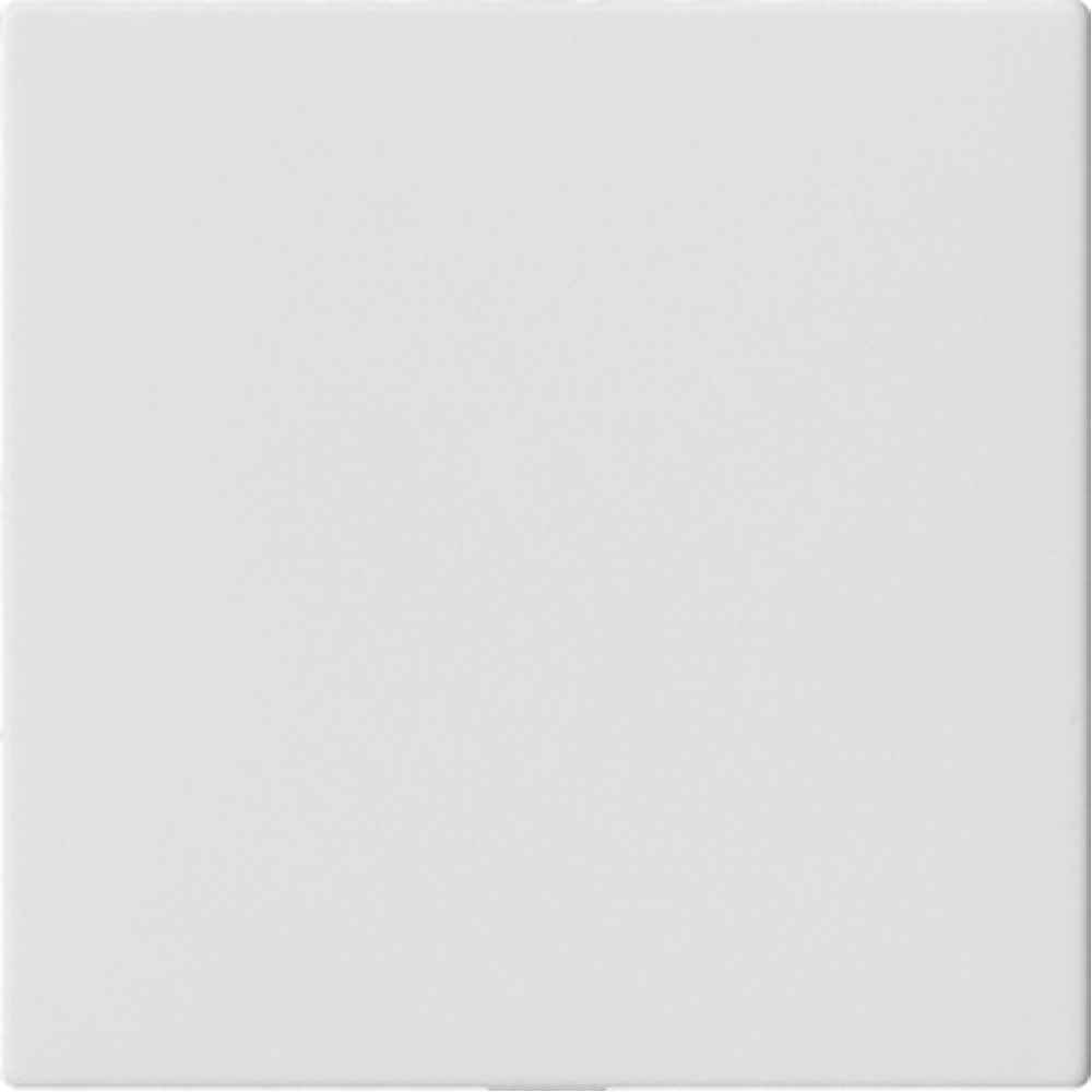 Gira Blindabdeckung 810827