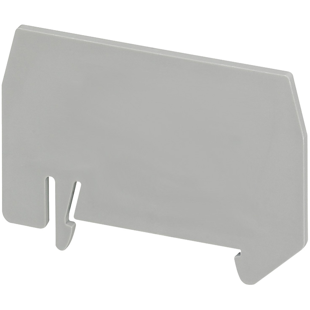 Schneider Electric Trennplatte NSYTRAPR42