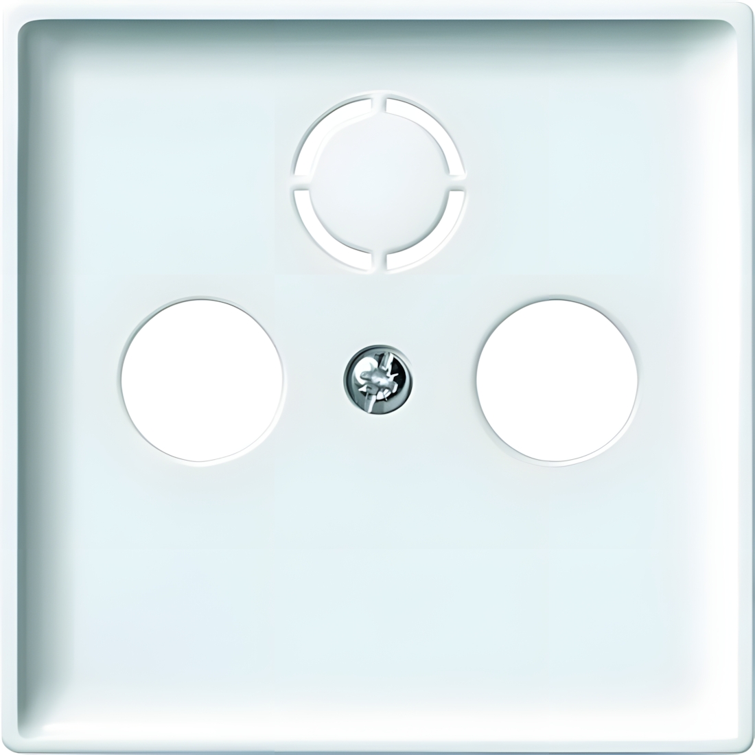 Merten Zentralplatte 294119