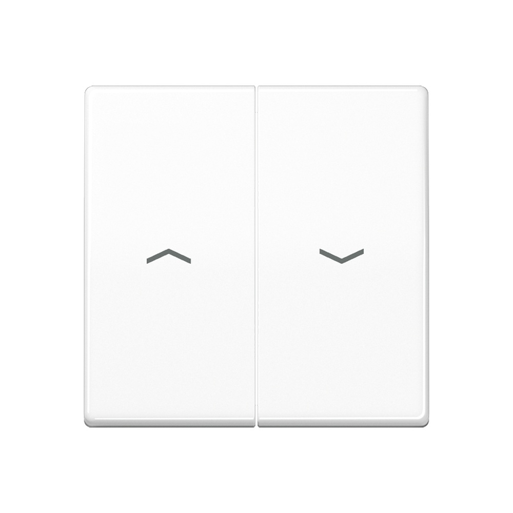 Jung Wippe AS 591-5 P BF WW