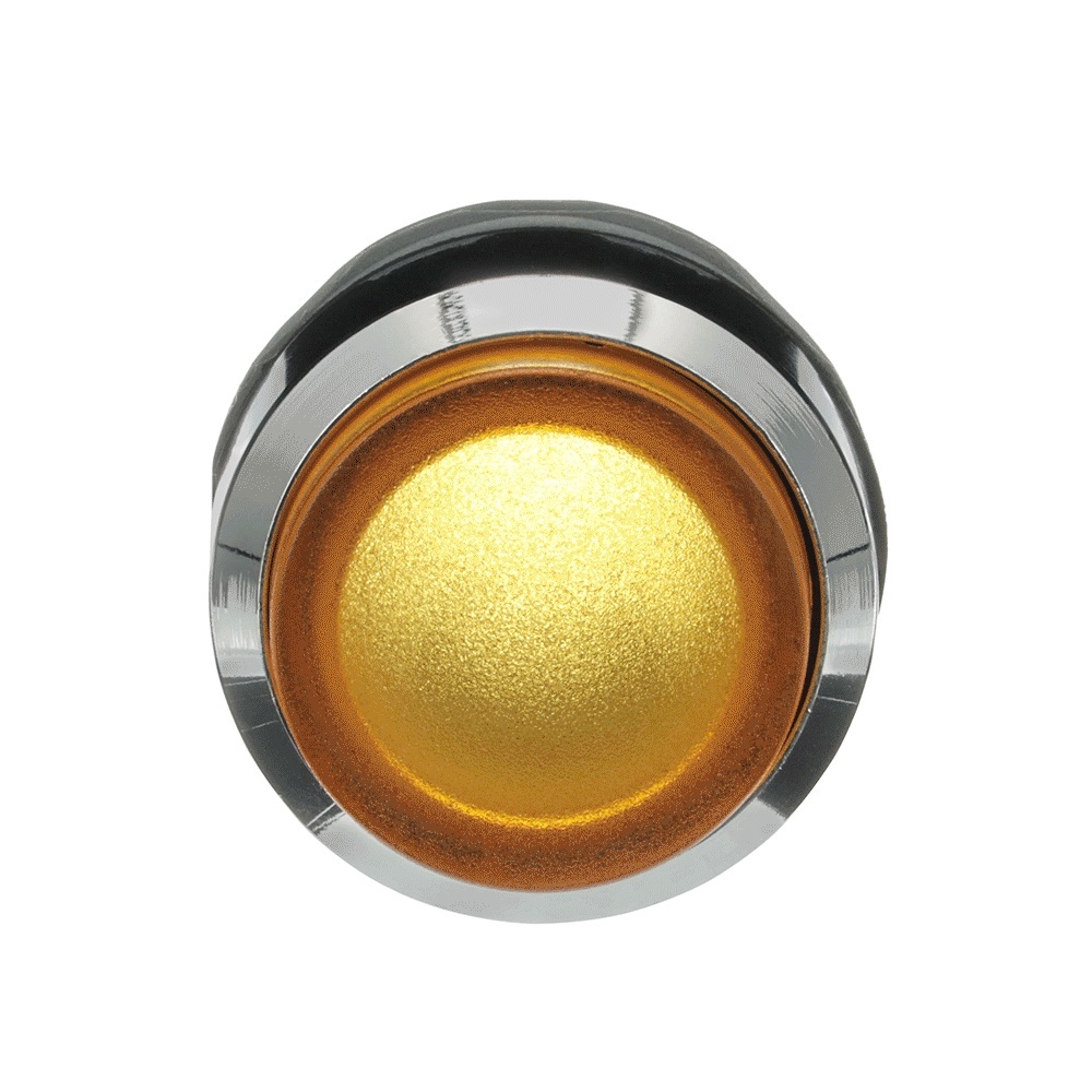 ABB Frontelement für Drucktaster 1SFA611102R3103 Typ MP3-31Y