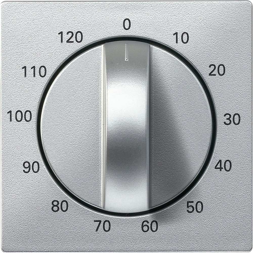 Merten Zentralplatte 539260