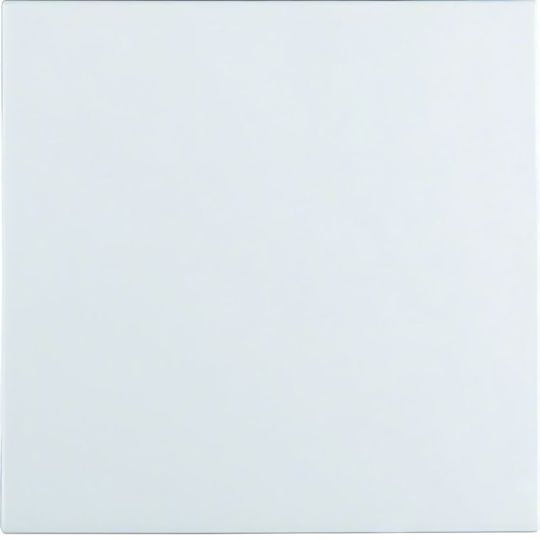 Berker Wippe 16201909