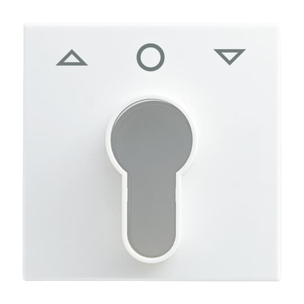 Busch-Jaeger Zentralscheibe 2557 PZ-914-101 Nr. 2CKA001710A4069