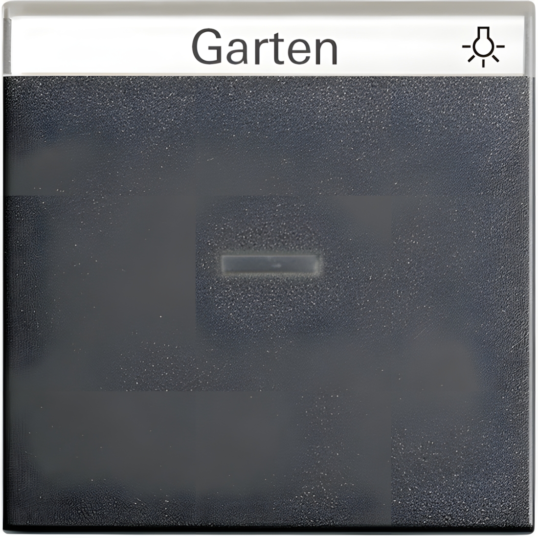 Gira Wippe Kontroll 067028