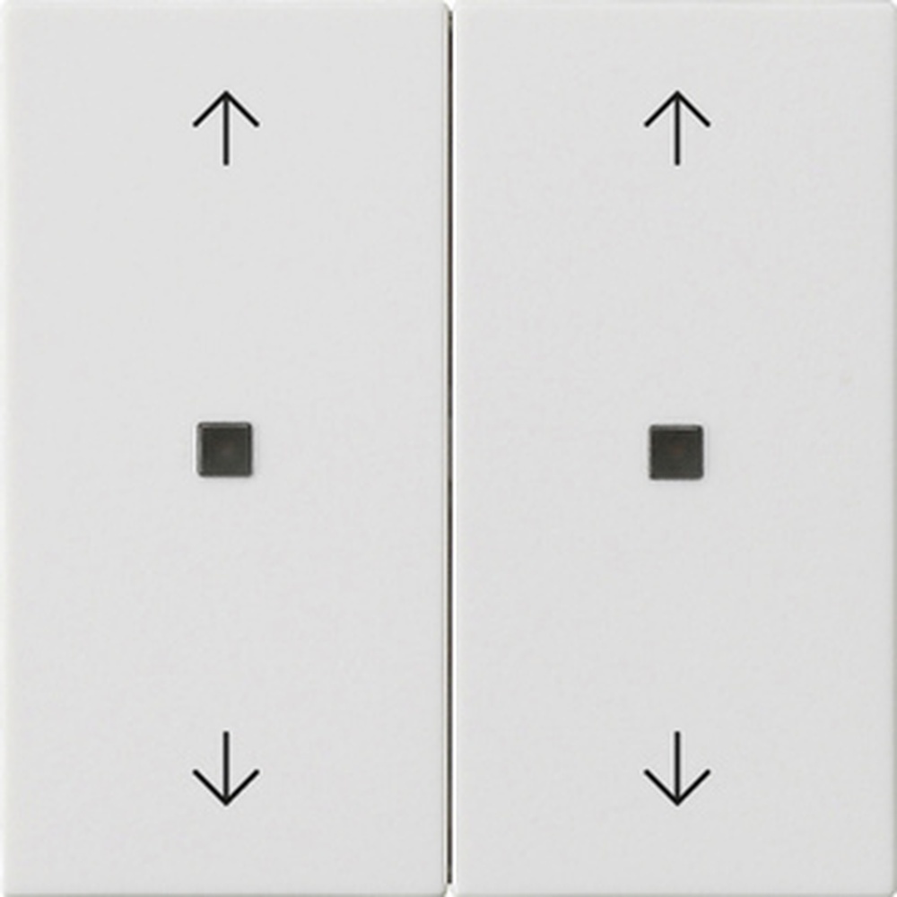 Gira Wippe 2fach 538627