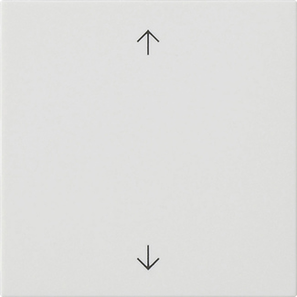 Gira Wippe 1fach 538927