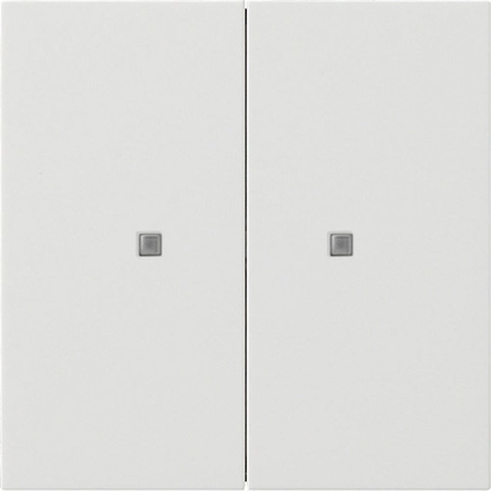 Gira KNX Taster Wippe 2fach 5173112