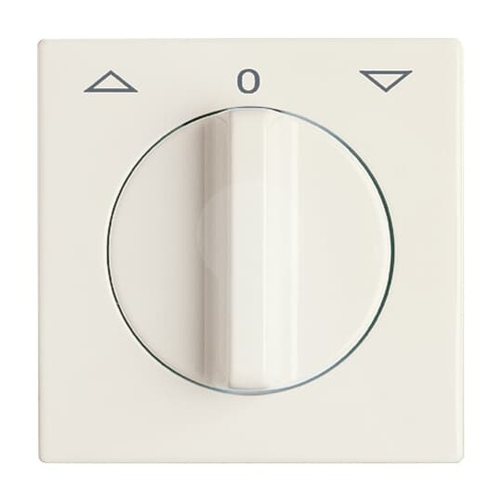 Busch-Jaeger Zentralscheibe 2142 DR-32 Nr. 2CKA001710A2223