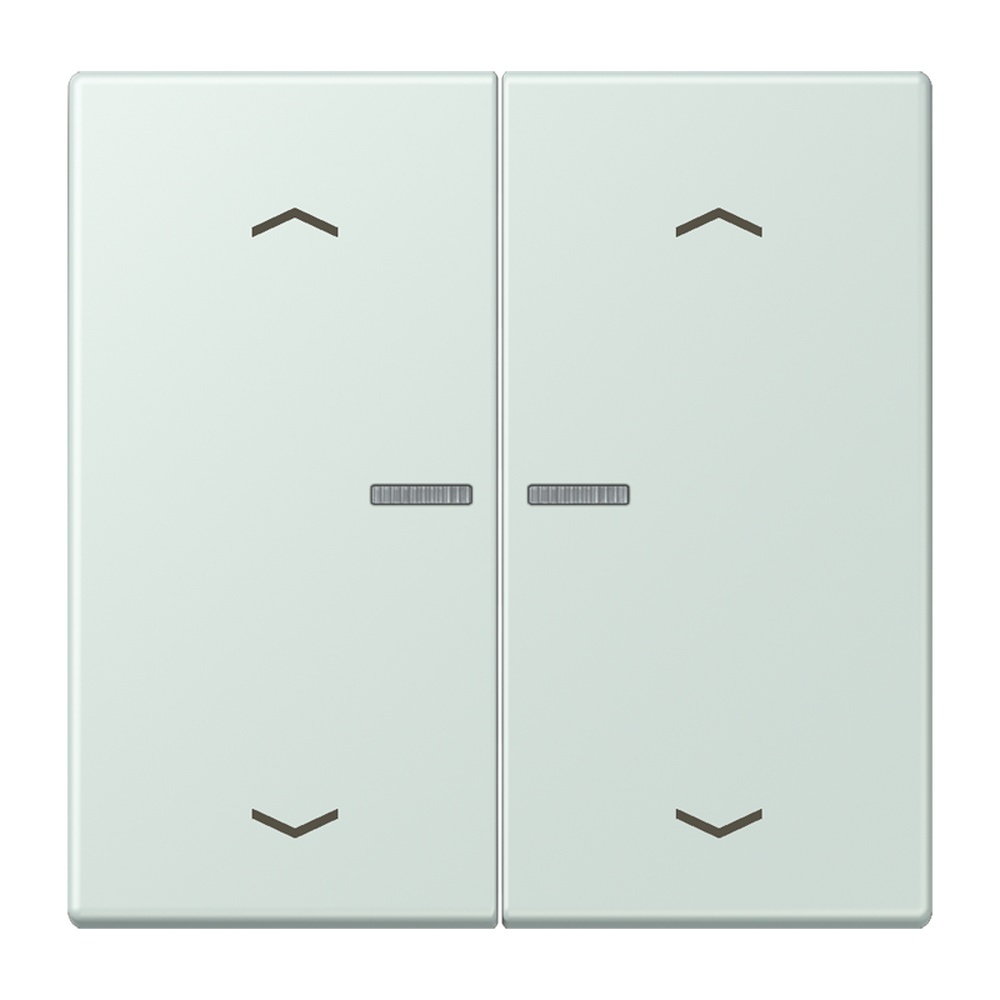 Jung Wippe mit Lichtleiter LC102KO5P215