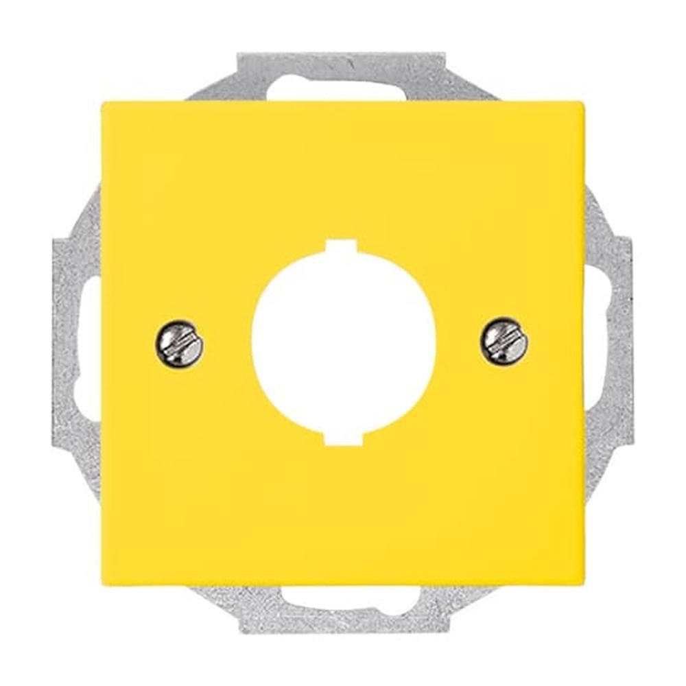 Busch-Jaeger Zentralscheibe 2533-914-15 Nr. 2CKA001724A4345