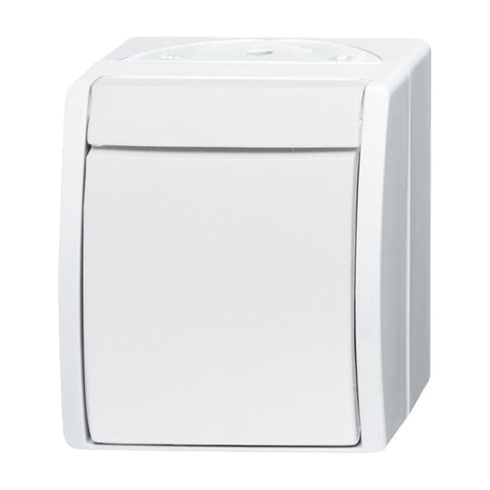 Busch-Jaeger Wippschalter 2601/7 W-54 Nr. 2CKA001085A1620