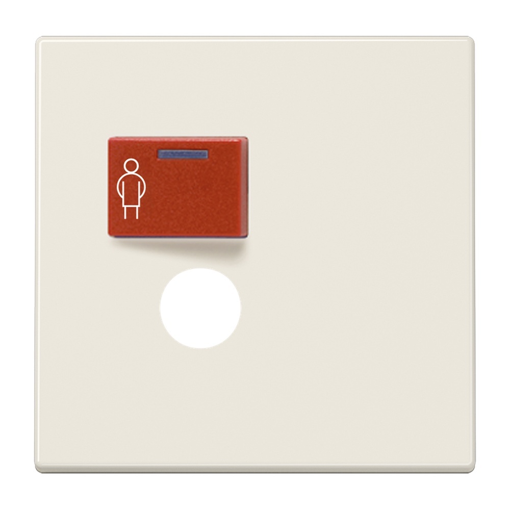 Jung Abdeckung Ackermann LS 071 B