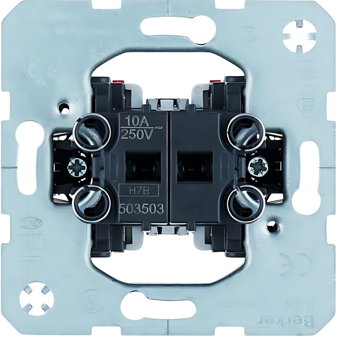 Berker Wippentaster 503503