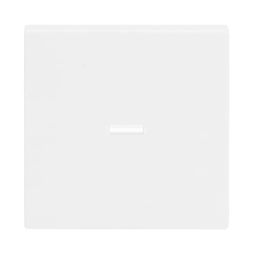 Busch-Jaeger Wippe 1789 N-84 Nr. 2CKA001751A3150