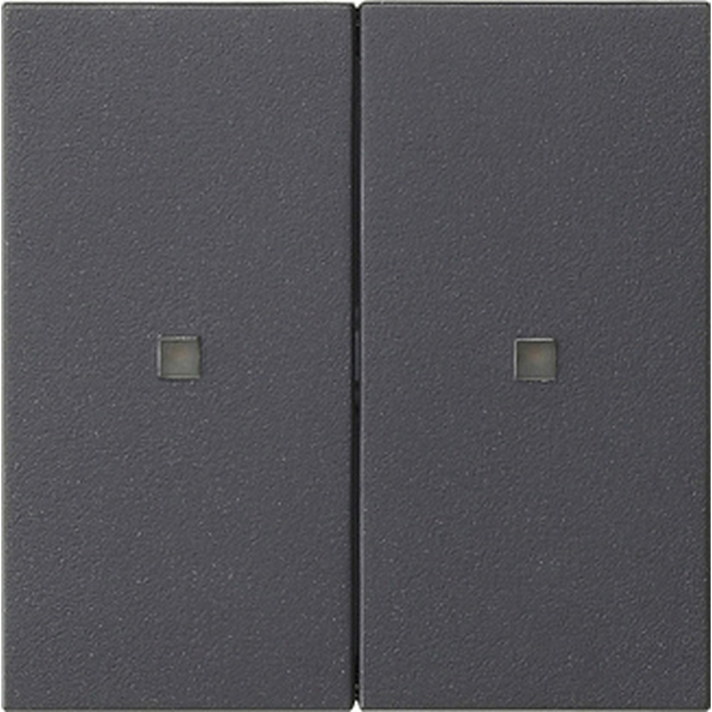 Gira Bedienaufsatz 2fach RF 510728