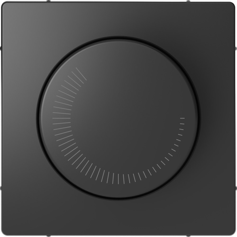 Merten Zentralplatte MEG5251-6034