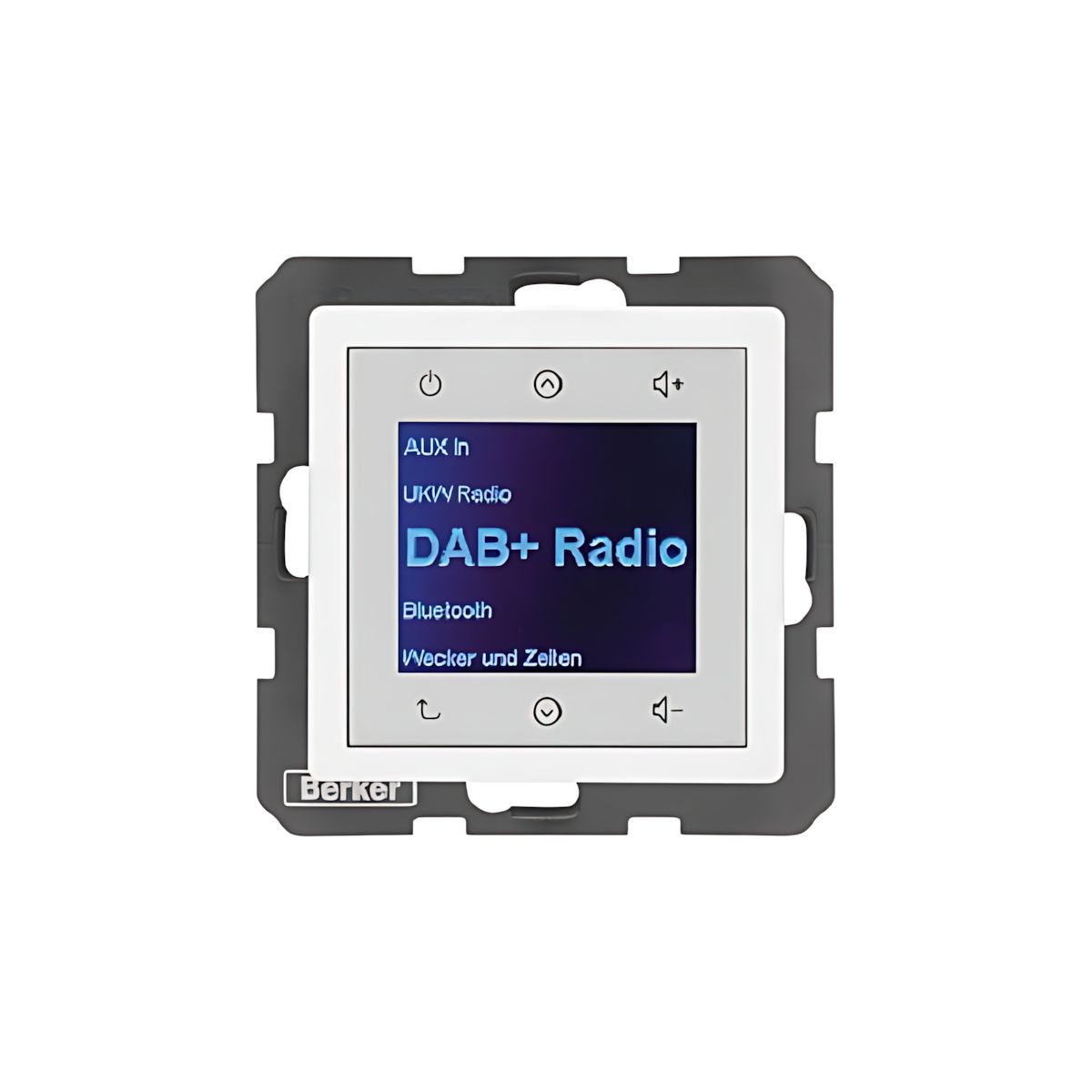 Berker Radio Touch 29846089