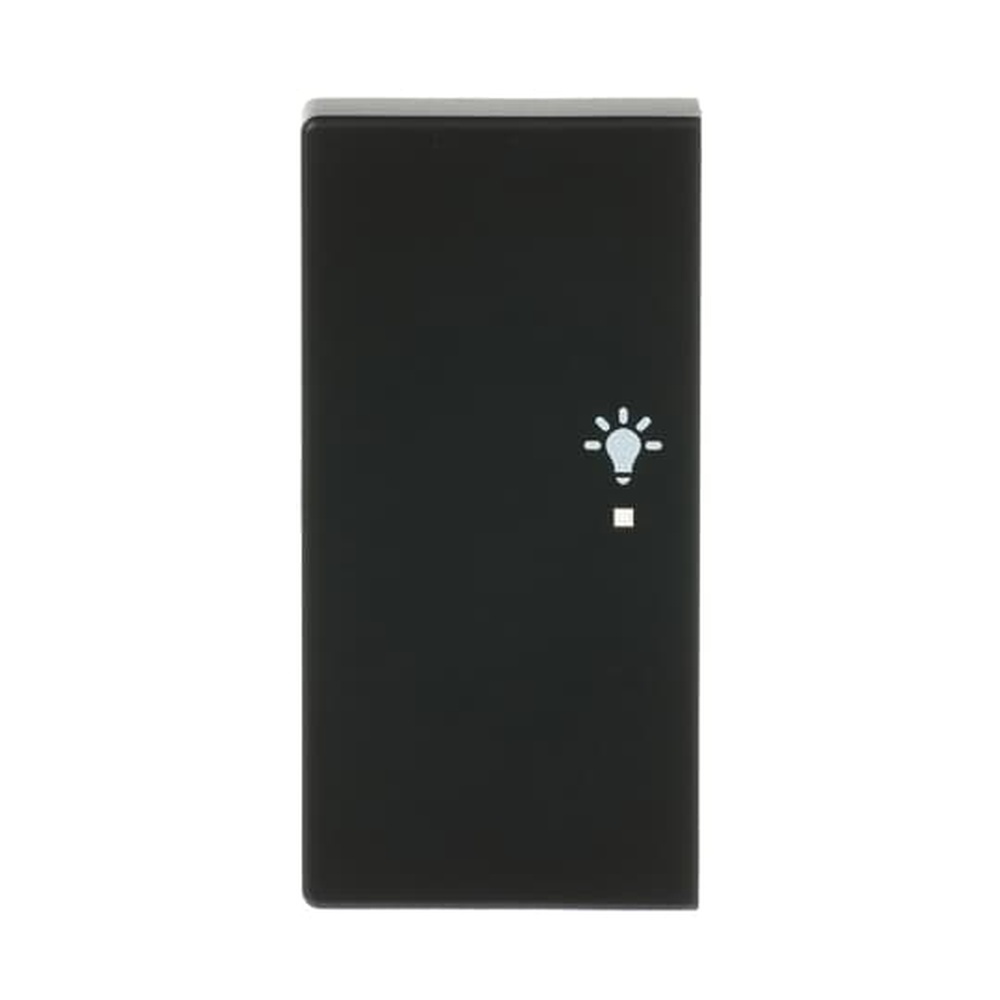 Busch-Jaeger Wippe 6231-21-885 Nr. 2CKA006220A0504