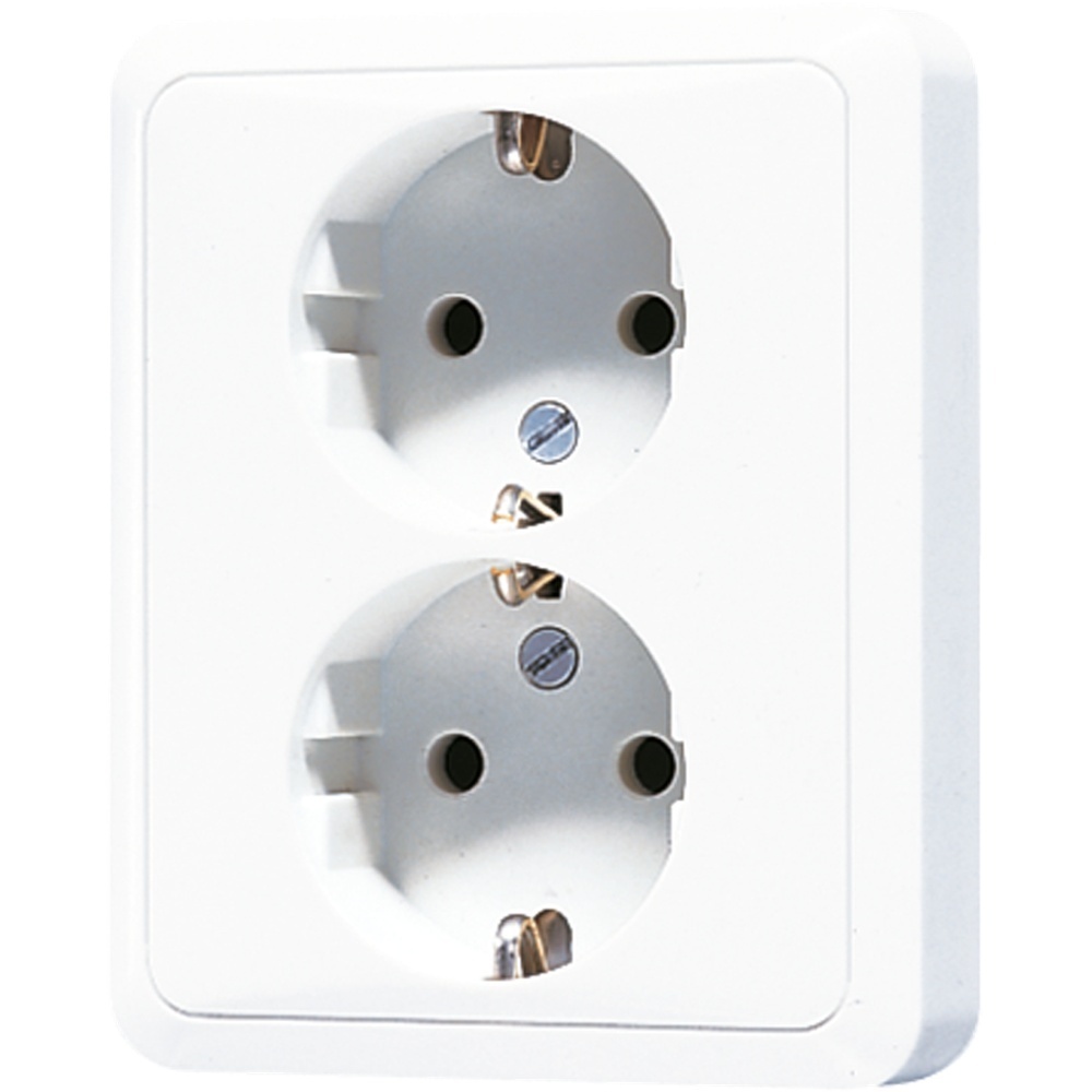 Jung SCHUKO Zweifach Steckdose CD5020NWW