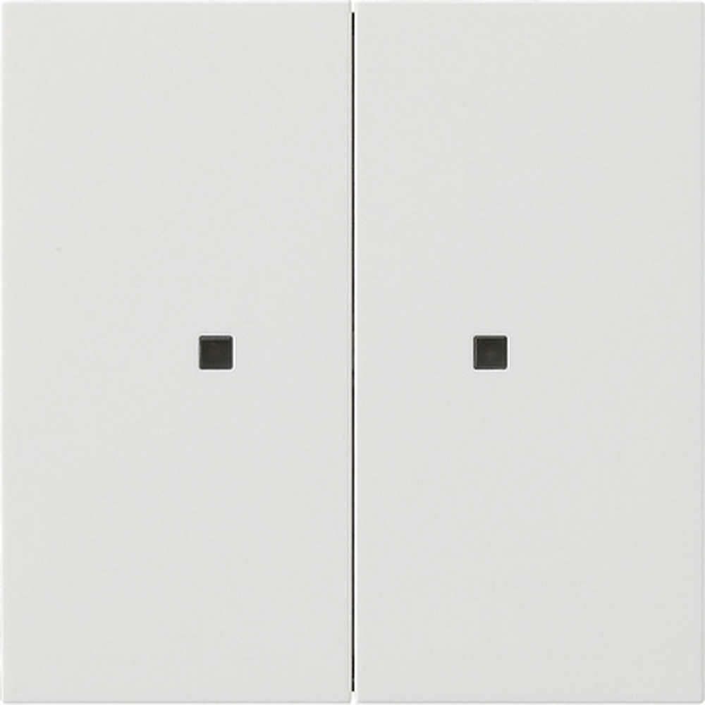 Gira Bedienaufsatz 2fach RF 5107112