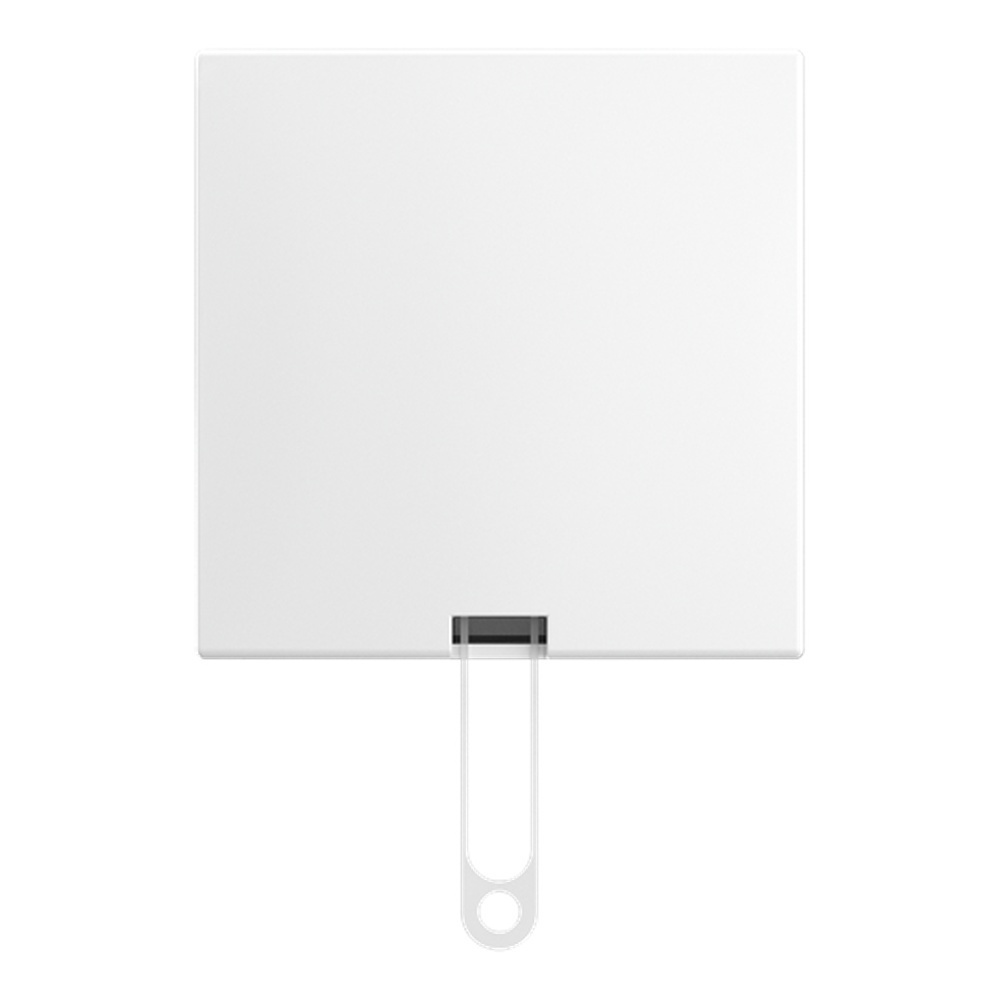 Busch-Jäger Zugschalter 2610/6 J-524 Nr. 2TKA00005519