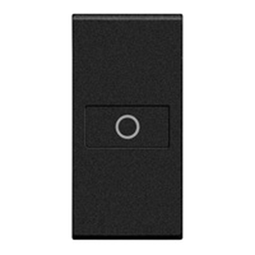 Bticino Wippe L4916A