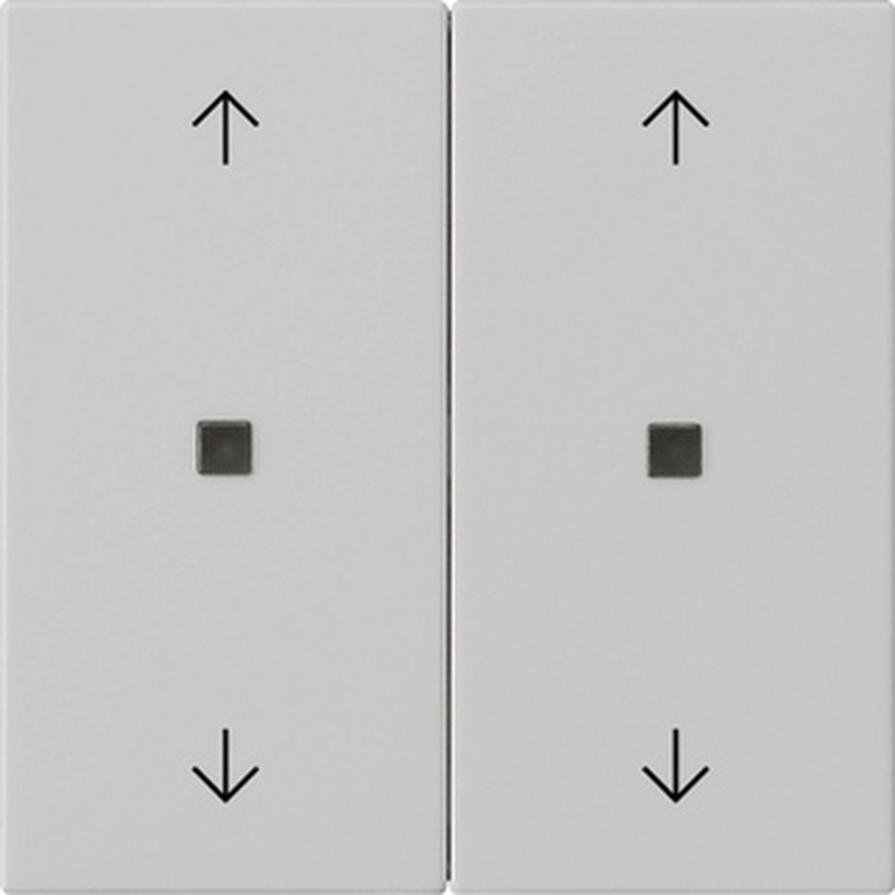 Gira Wippe 2fach 5386015