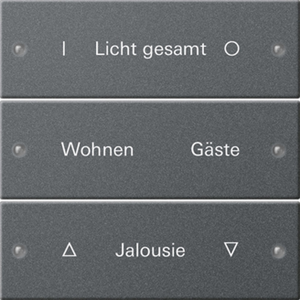 Gira Wippenset 3fach 220328