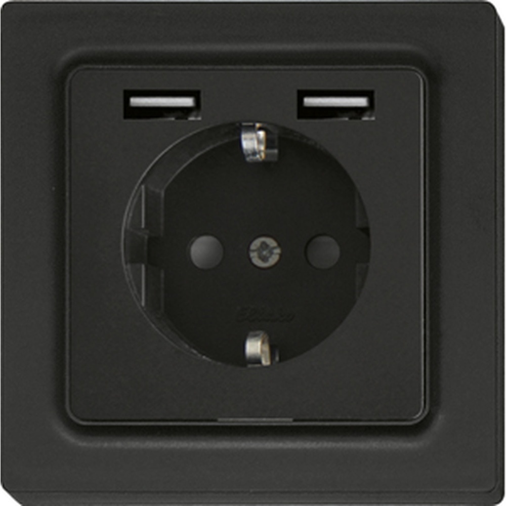 ELTAKO Schutzkontakt Steckdose 30055899 Typ DSS55E+2xUSBA-am