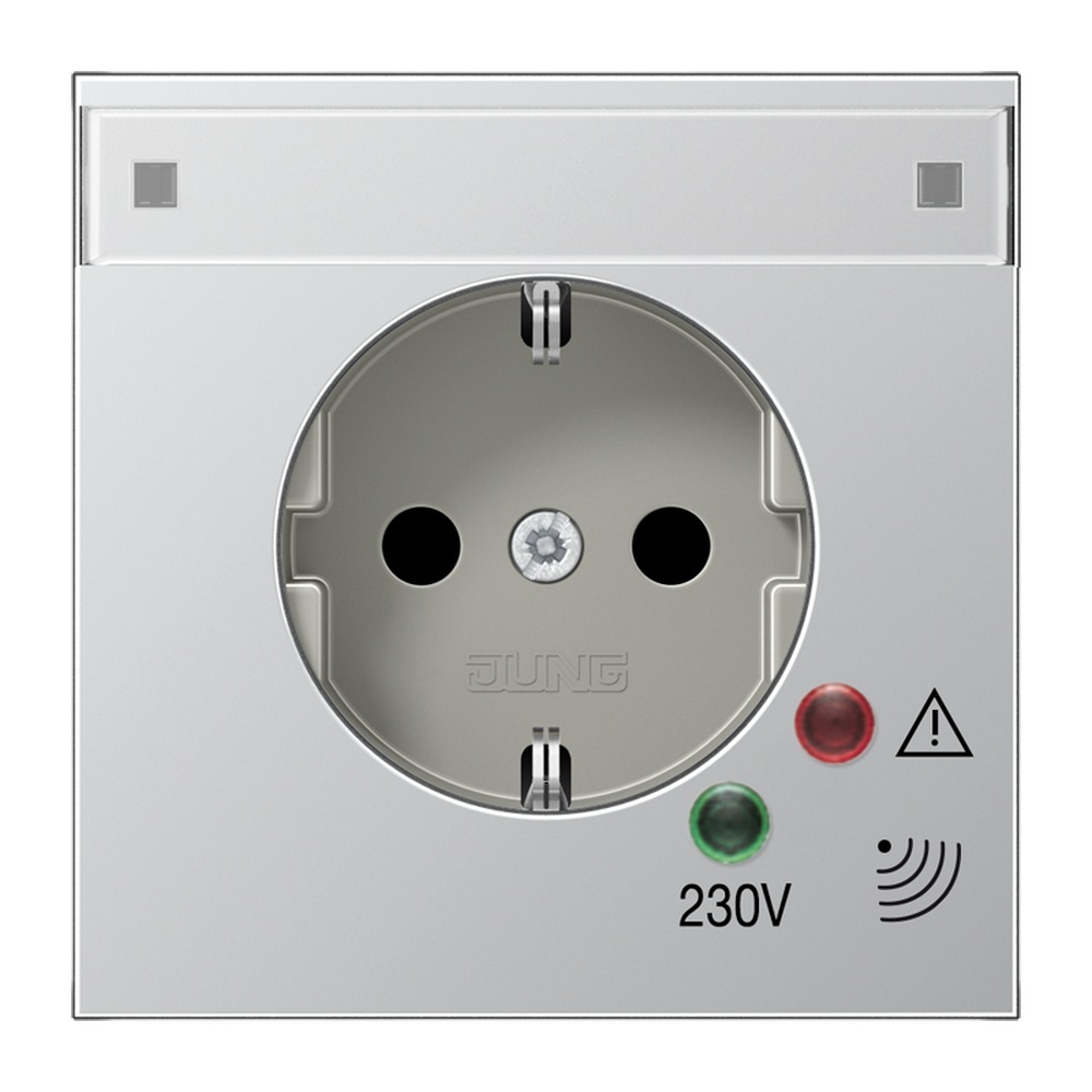 Jung SCHUKO Steckdose AL2521NAUF