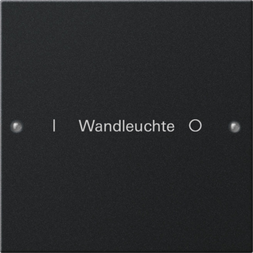 Gira Wippenset 2201005