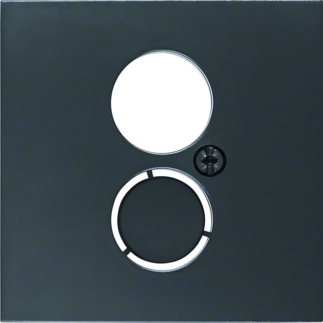 Berker Zentralstück 11961606