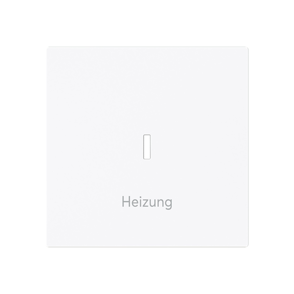 Busch-Jaeger Wippe 1789 H-44G Typ 2CKA001751A3357