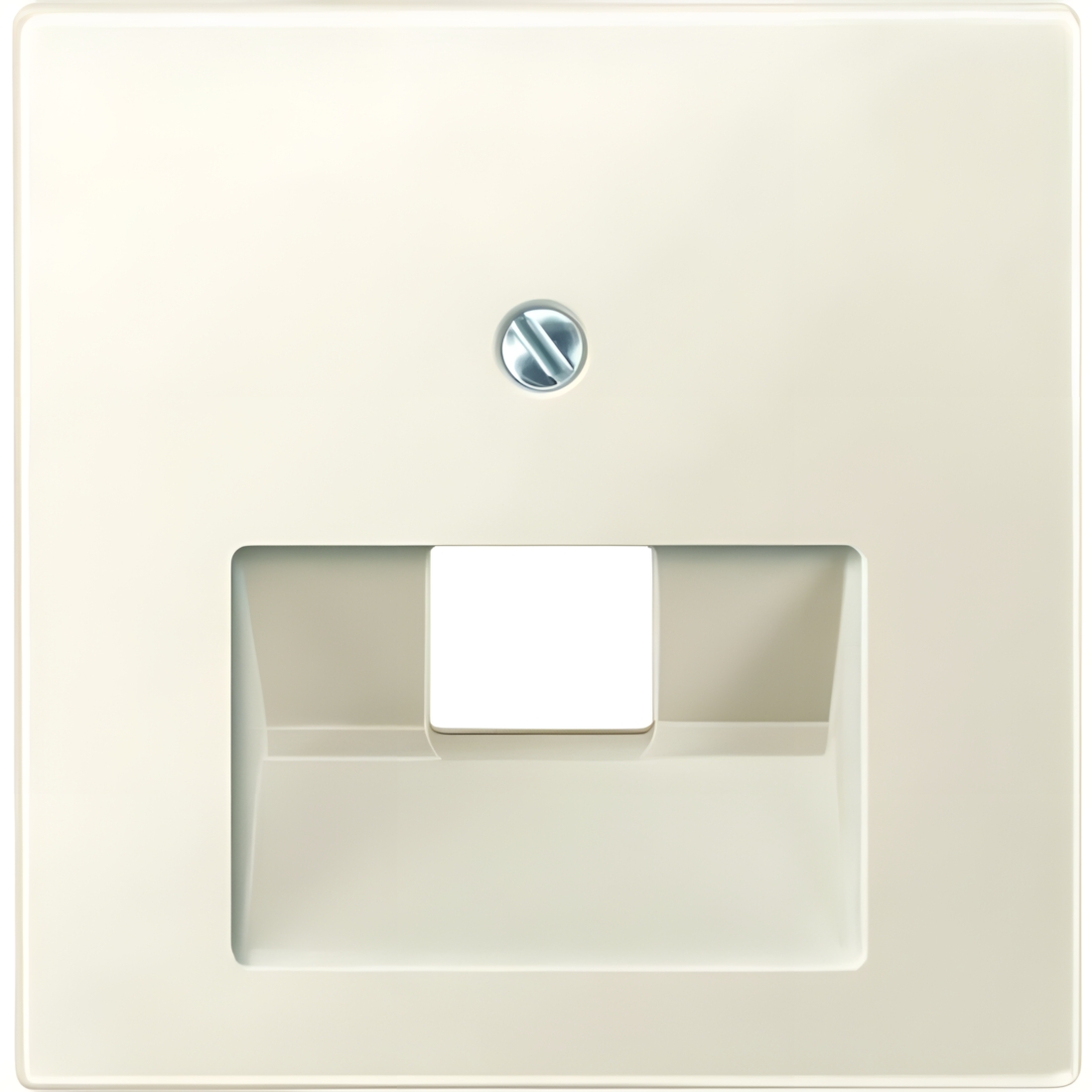 Merten Zentralplatte 298344