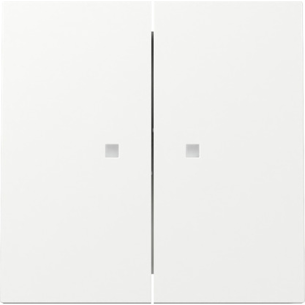 Gira Wippe 2fach 363170